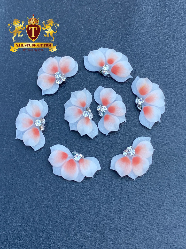 3-D Sweetheart Flower Shi Professional