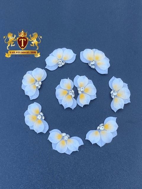 3-D Sweetheart Flower Shi Professional